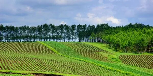 【研究】有机农业、生态农业、绿色农业的真正区别在哪里！