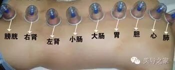 拔上一罐，病去一半！