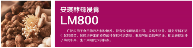 【应用技术】食用菌液态制种