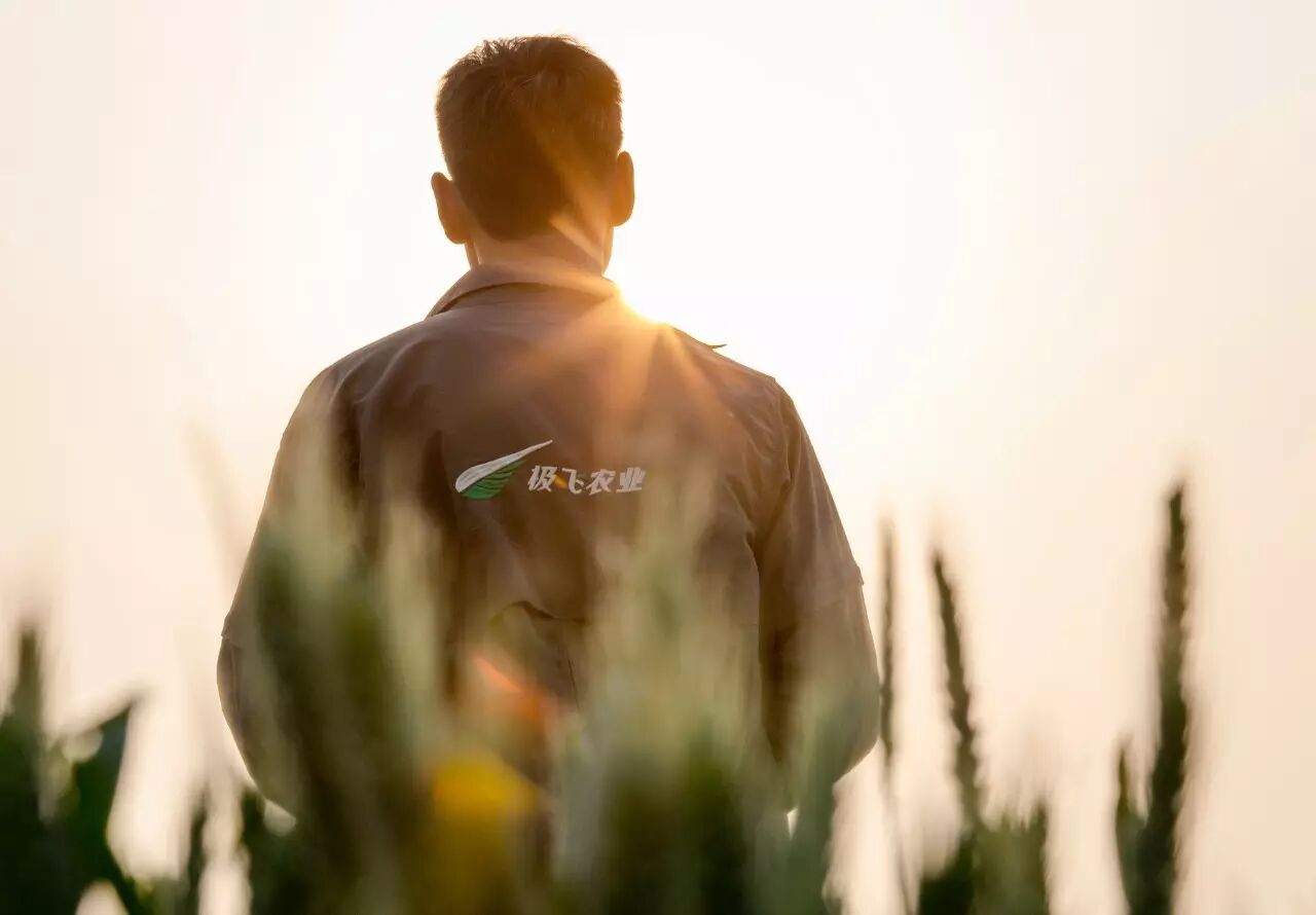 極飛農(nóng)業(yè)逐鹿中原 | 這10萬畝農(nóng)田與你我有關(guān) 
