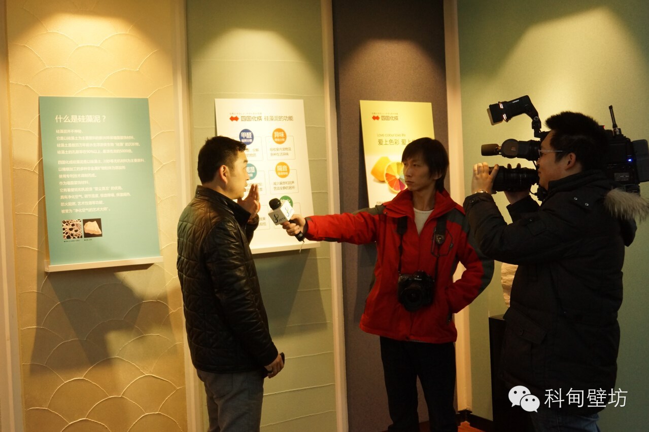 上海电视台对四国化成硅藻泥陈总采访