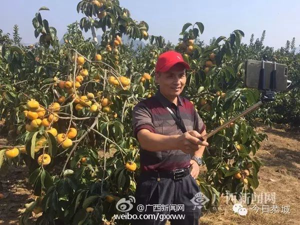 有“颜值”更有“气质” ——恭城获国务院督查表扬的背后553 / 作者:深秋的落叶 / 帖子ID:164652