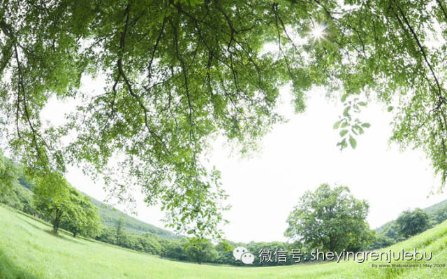 央视新闻:癌细胞变回正常细胞的秘诀,转发救人无数! - 高山 - 高山流水 高山的博客 央视新闻:癌细胞变回正常细胞的秘诀,转发救人无数! - 高山 - 高山流水 高山的博客