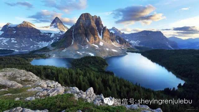 央视新闻:癌细胞变回正常细胞的秘诀,转发救人无数! - 高山 - 高山流水 高山的博客 央视新闻:癌细胞变回正常细胞的秘诀,转发救人无数! - 高山 - 高山流水 高山的博客