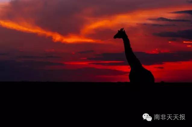 带你走进南非最北的省份-林波波省（上）