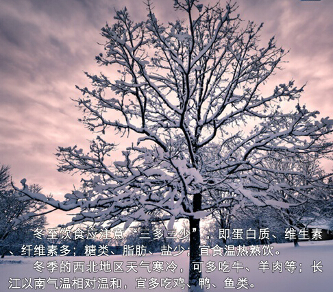 冬至养生正当时(转载网络)497 / 作者:美丽的梦花 / 帖子ID:106915 冬至养生正当时(转载网络)497 / 作者:美丽的梦花 / 帖子ID:106915