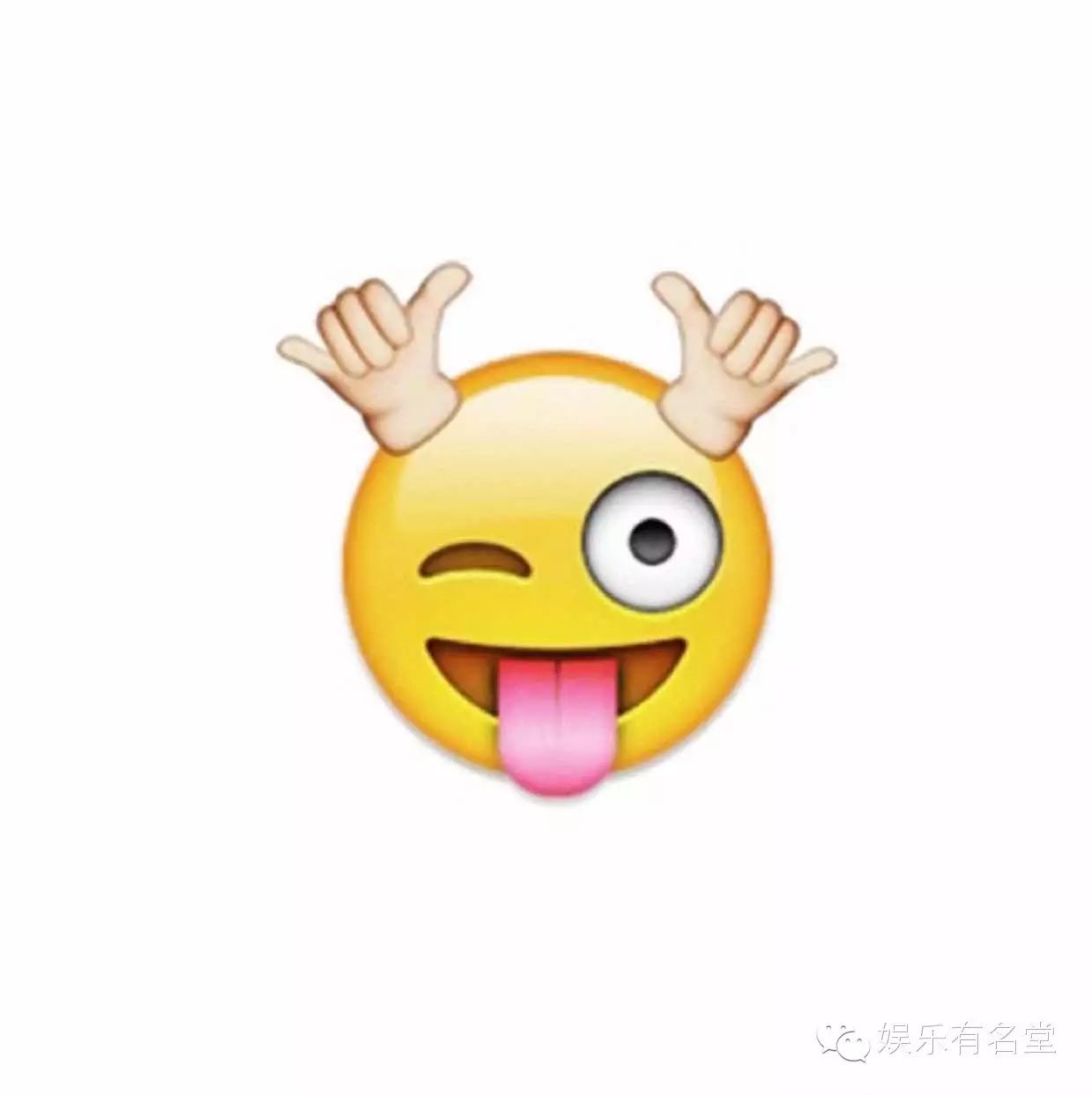 【新人抢先看】之市场营销部 张磊