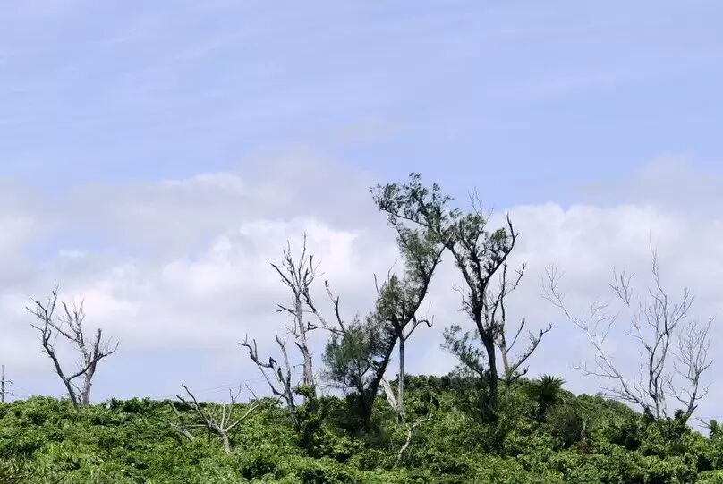 杨子:家道传承(传给后代什么才最有意义)