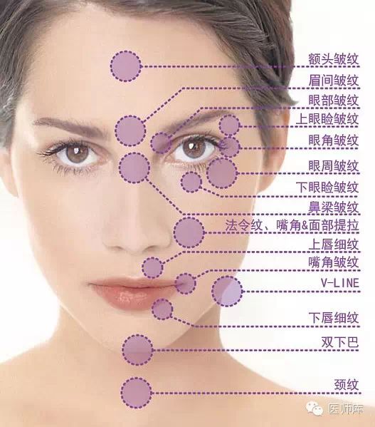 你是要三八线,还是蛋白线?