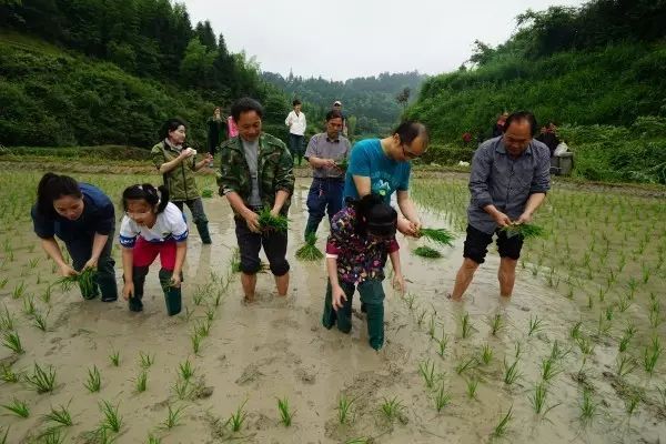 “绿魔农”李健的农夫手记(九):想不到,孩子们会喜欢...