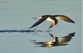 2015-10-06《野诗刊》诗歌7首