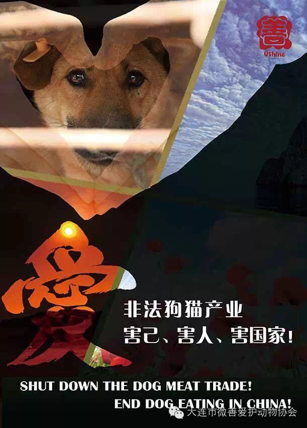 全国宣传活动" /> 四、活动费用补贴 所有高校活动费用补贴,原则上按照 200 元每校进行补贴。按照主办方规定的活动形式完成活动即可发放补贴,如果活动中发现未完成活动,则根据明细扣除其相关的费用,如果协办方计划针对此活动主题开展大型的活动形式,根据协办方提交的活动方案和预算,再单独告知微善爱护动物协会,主办方决定是否增加其活动经费的预算, 增加的活动经费由微善爱护动物协会在活动后支付给该社团。社团如无特别的活动形式要求,均按照既定标准进行补贴。协办方需反馈收到补贴款的扫描或拍摄的图片。 五、工作分工
