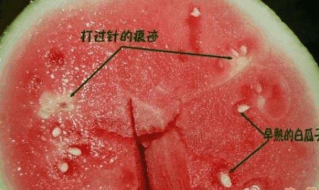 【仅供参考】10种最常吃水果竟然堪比砒霜!(特色社会 悲哀水果) - 云水心 - 佛在心中 【仅供参考】10种最常吃水果竟然堪比砒霜!(特色社会 悲哀水果) - 云水心 - 佛在心中