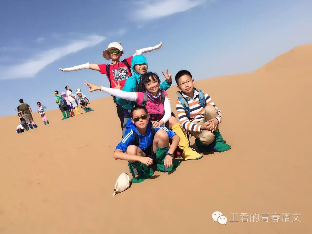 王君【第28季】这是“美好的境界”吗？——写在《珍珠鸟》教学后
