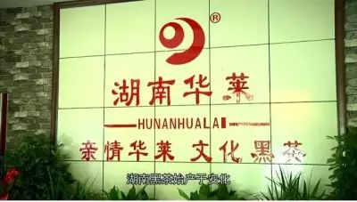 华莱黑茶视频大全,建议收藏