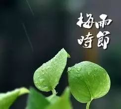 臥室地板橫鋪豎鋪進(jìn)門(mén)_地板橫鋪豎鋪效果圖_車(chē)內鋪木地板