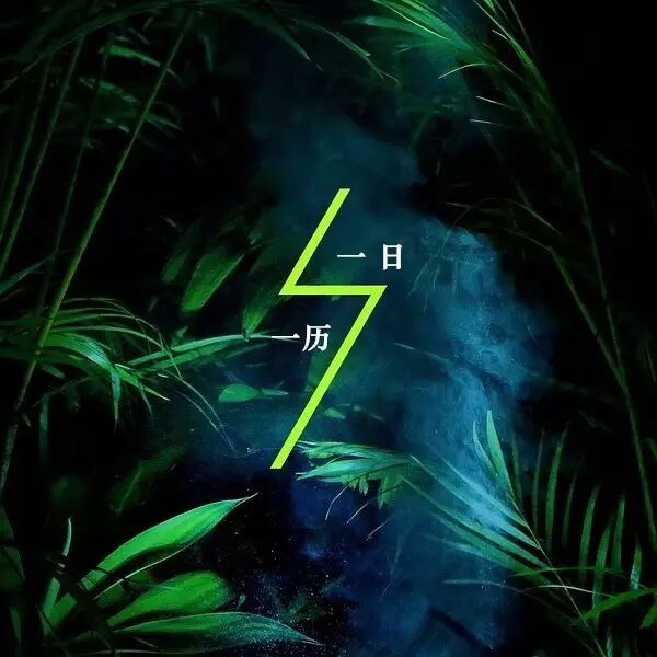 一日一历  Tori Amos