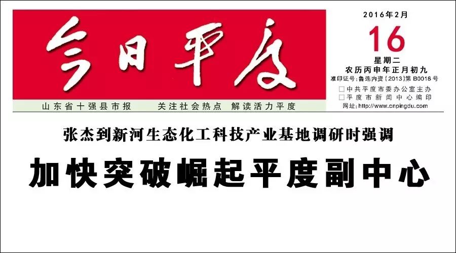 张杰到新河生态化工科技产业基地调研时强调丨加快突破崛...