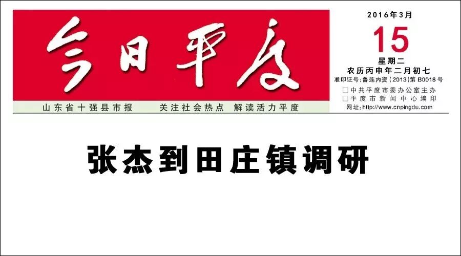 张杰到田庄镇调研