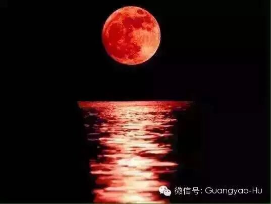 《月圆的日子》