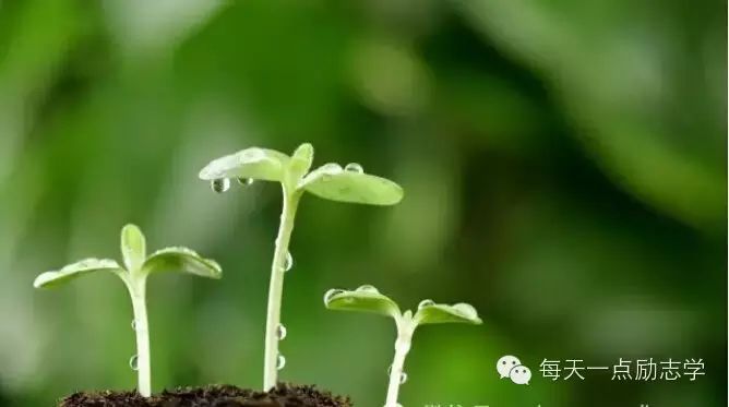 刀靠石磨,人要事磨 - 学校生活教育 - 学校生活教育 刀靠石磨,人要事磨 - 学校生活教育 - 学校生活教育