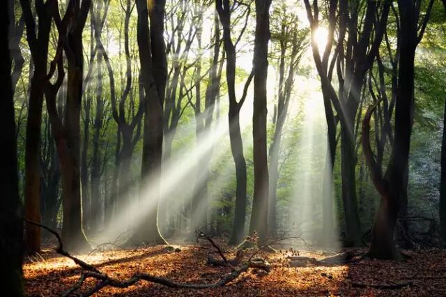 新年祝词：每一个不曾起舞的日子，都是对生命的辜负。