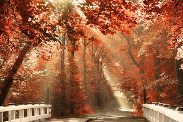 新年祝词：每一个不曾起舞的日子，都是对生命的辜负。