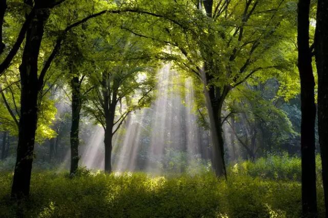 新年祝词：每一个不曾起舞的日子，都是对生命的辜负。