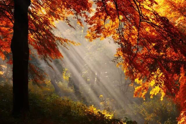 新年祝词：每一个不曾起舞的日子，都是对生命的辜负。