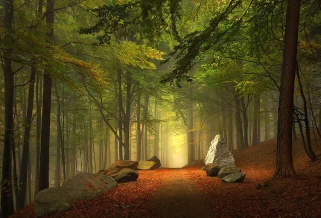 新年祝词：每一个不曾起舞的日子，都是对生命的辜负。