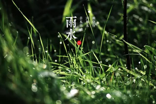 雨水时节且听雨声