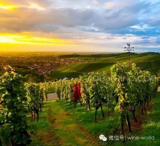 这些马云和赵薇都不会错过的地方,你怎么能不知道呢?