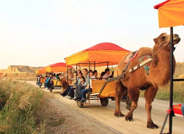 银川旅游攻略水洞沟