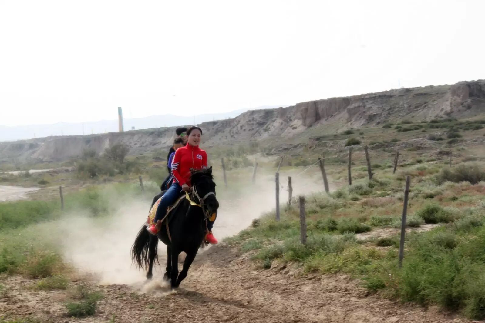 银川旅游景点大全