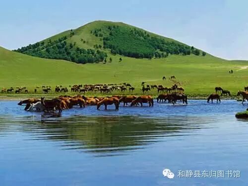 20170627183109_fx9dq0k1t9.png?v=1762383431501