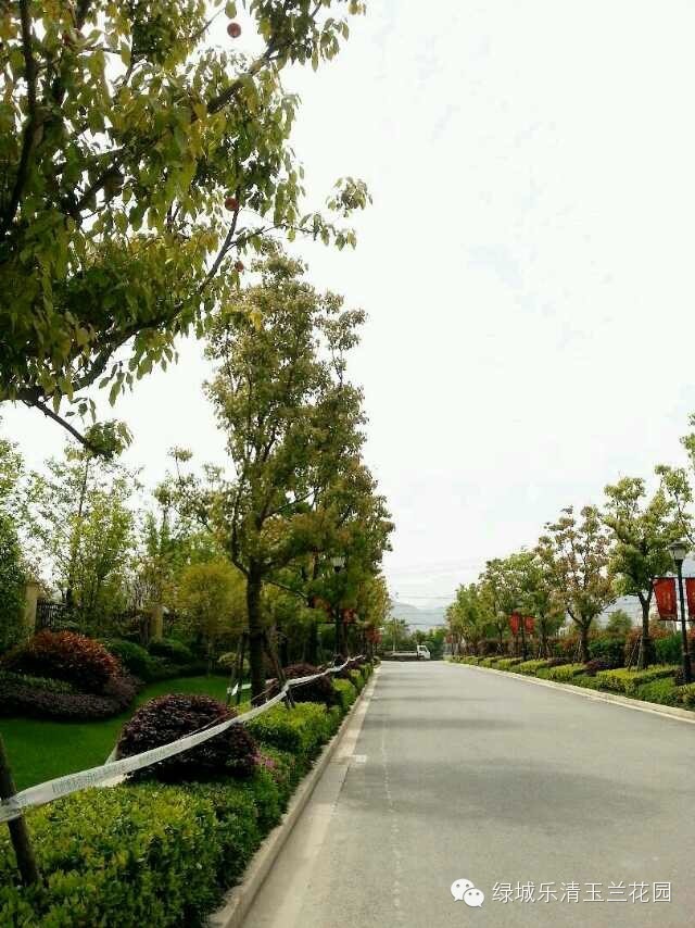  �̳�����������԰