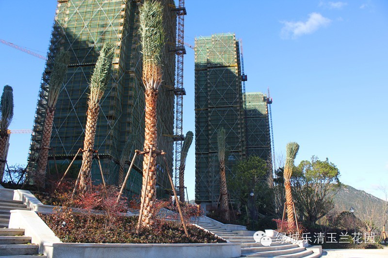 �̳�������԰ ����