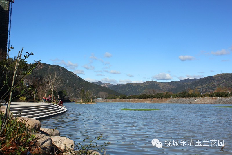 �̳�������԰ ����