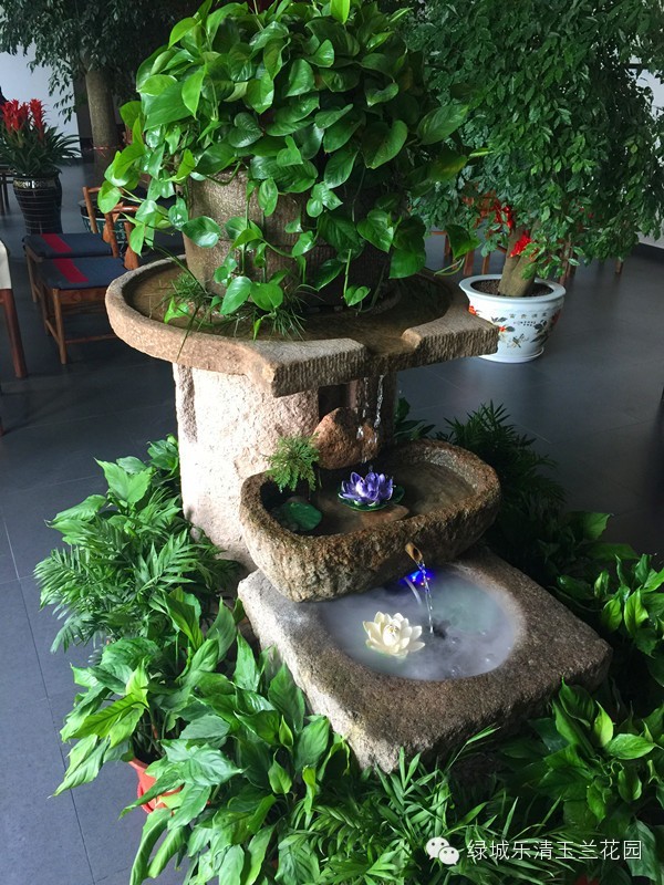 �̳�������԰ ����