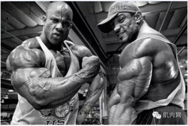 健美运动员_职业健美运动员收入