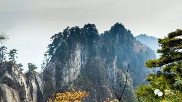 南阳市区景点大全_南阳市区哪里有红灯区_南阳市区号