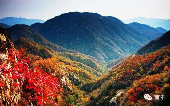 南阳市区号_南阳市区哪里有红灯区_南阳市区景点大全