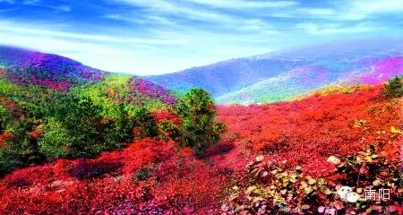 南阳市区哪里有红灯区_南阳市区号_南阳市区景点大全