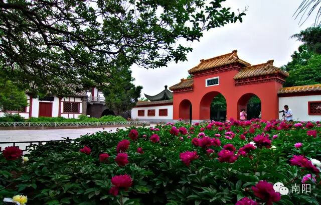 南阳市区哪里有红灯区_南阳市区号_南阳市区景点大全