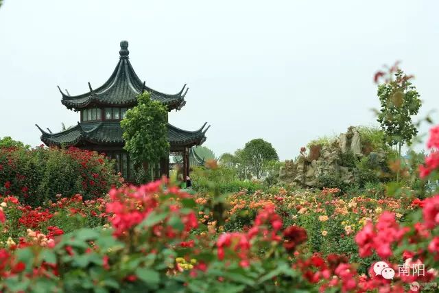 南阳市区哪里有红灯区_南阳市区景点大全_南阳市区号