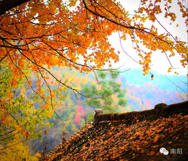 南阳市区哪里有红灯区_南阳市区景点大全_南阳市区号