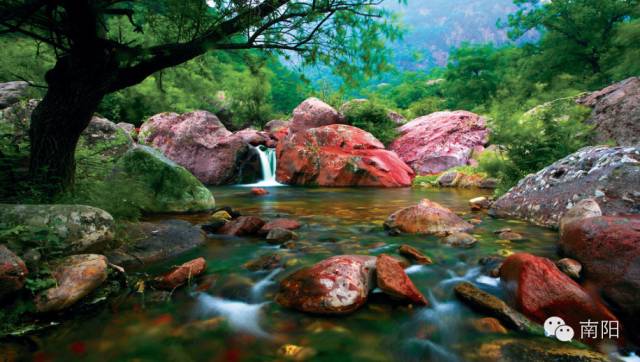 南阳市区哪里有红灯区_南阳市区景点大全_南阳市区号