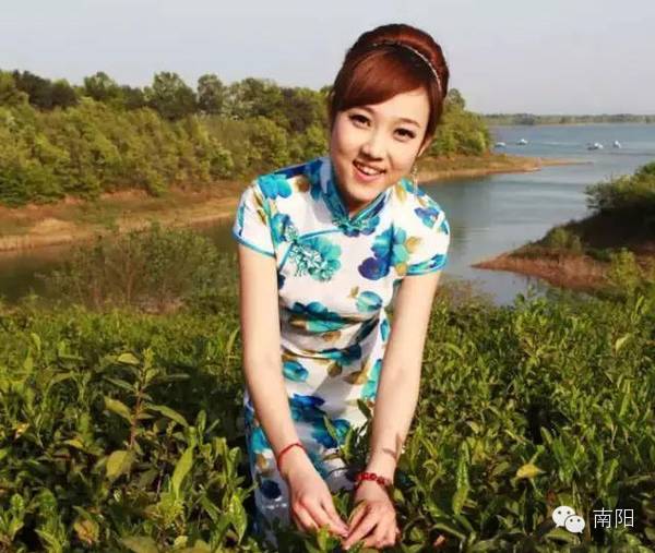 南阳市区景点大全_南阳市区哪里有红灯区_南阳市区号