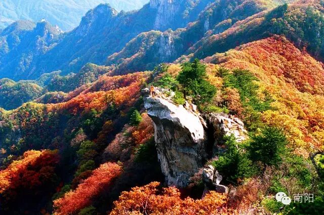 南阳市区景点大全_南阳市区哪里有红灯区_南阳市区号