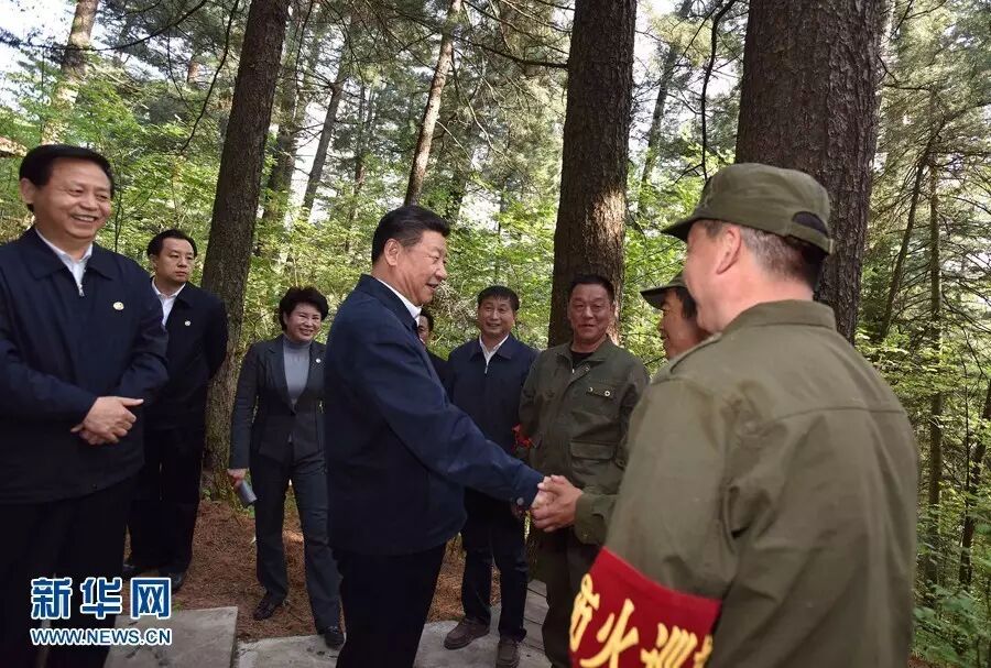 5月23日下午，习近平在上甘岭林业局溪水国家森林公园视察时，叮嘱林场工作人员一定要把森林资源保护好。 新华社记者 李涛 摄
